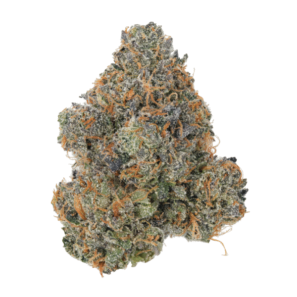 Lemon Cherry Gelato
