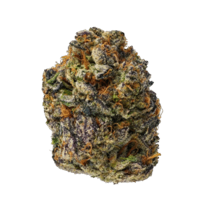 Exotic Smalls